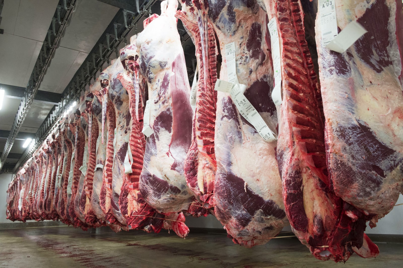 Abattoir Abattoir